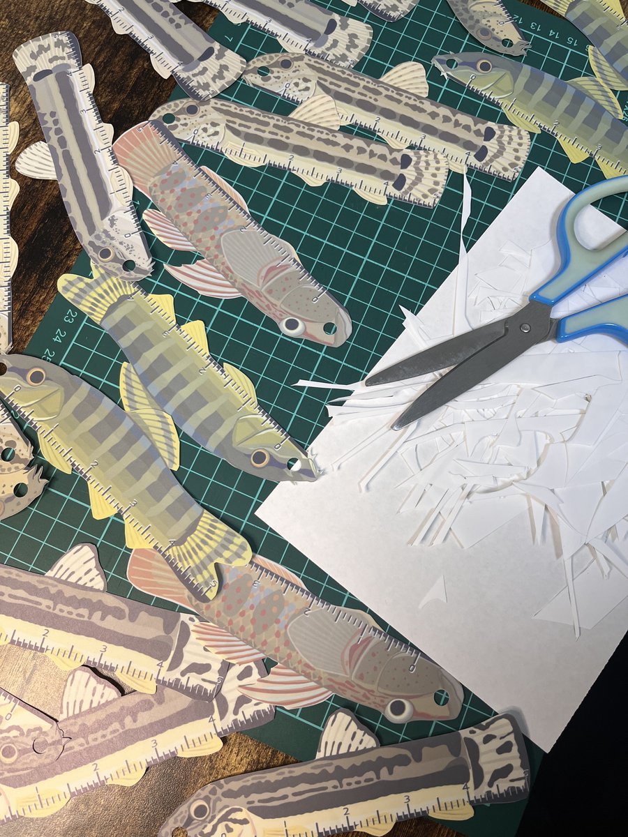 川鮫工房｜人と水辺を繋ぐ生き物作家/いきものづくし2026 tweet media