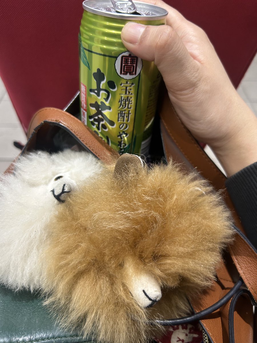 難波益美 tweet media