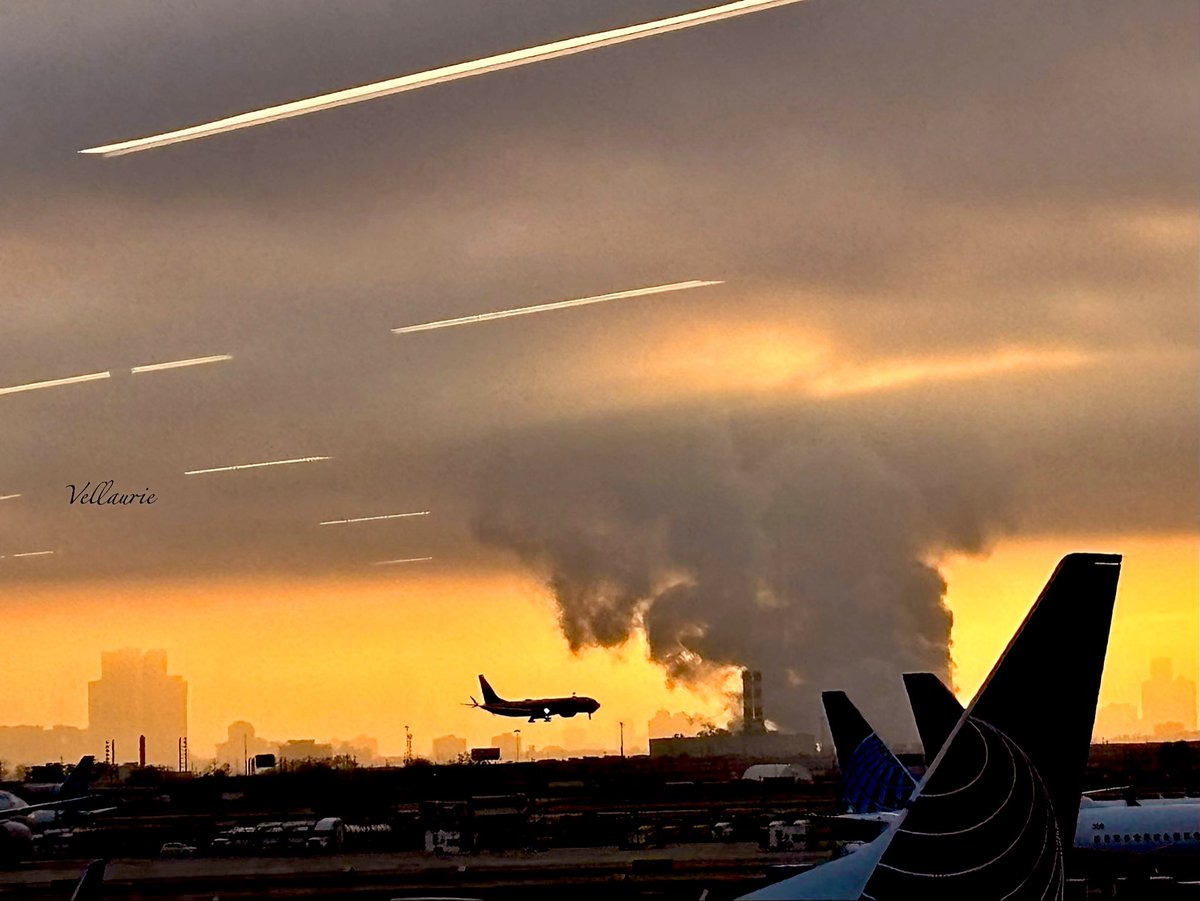 Vijay Ellaurie tweet media