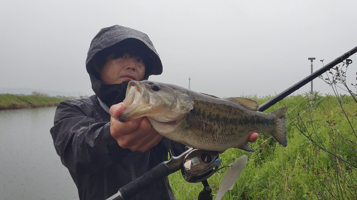 たまに実力発揮するえーさん(仮) tweet media