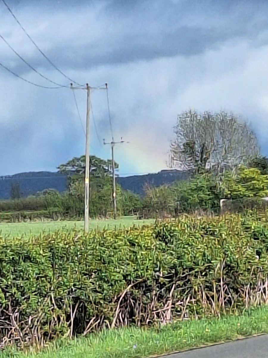 ( Duizamak Celirekik ) 🧡 (@chris495582) on Twitter photo 