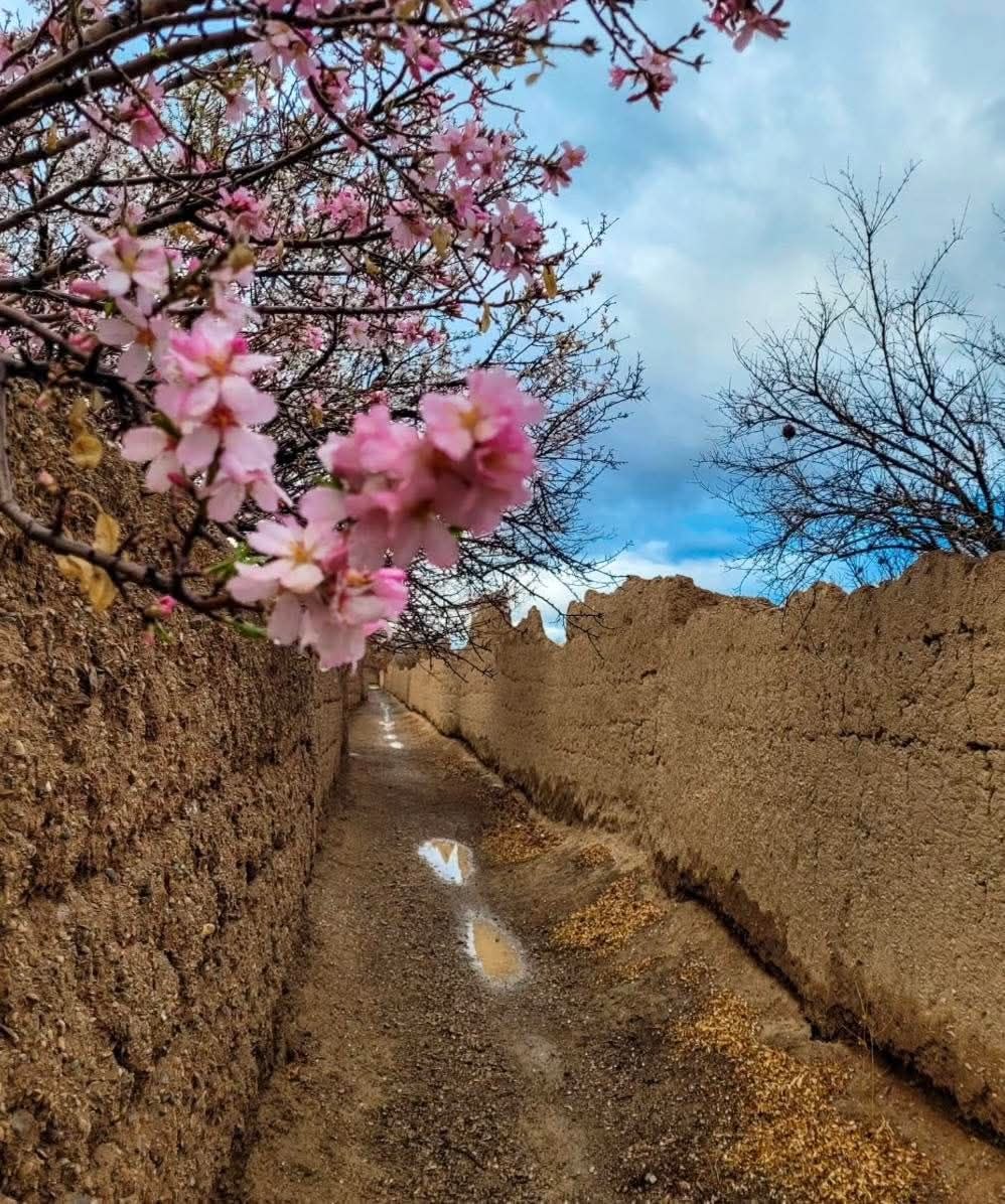 Golnazevan tweet media