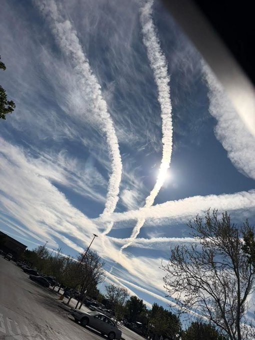 🇩🇪 𝕸𝖎𝖈𝖗𝖔𝖍𝖆𝖝 🇩🇪 tweet media