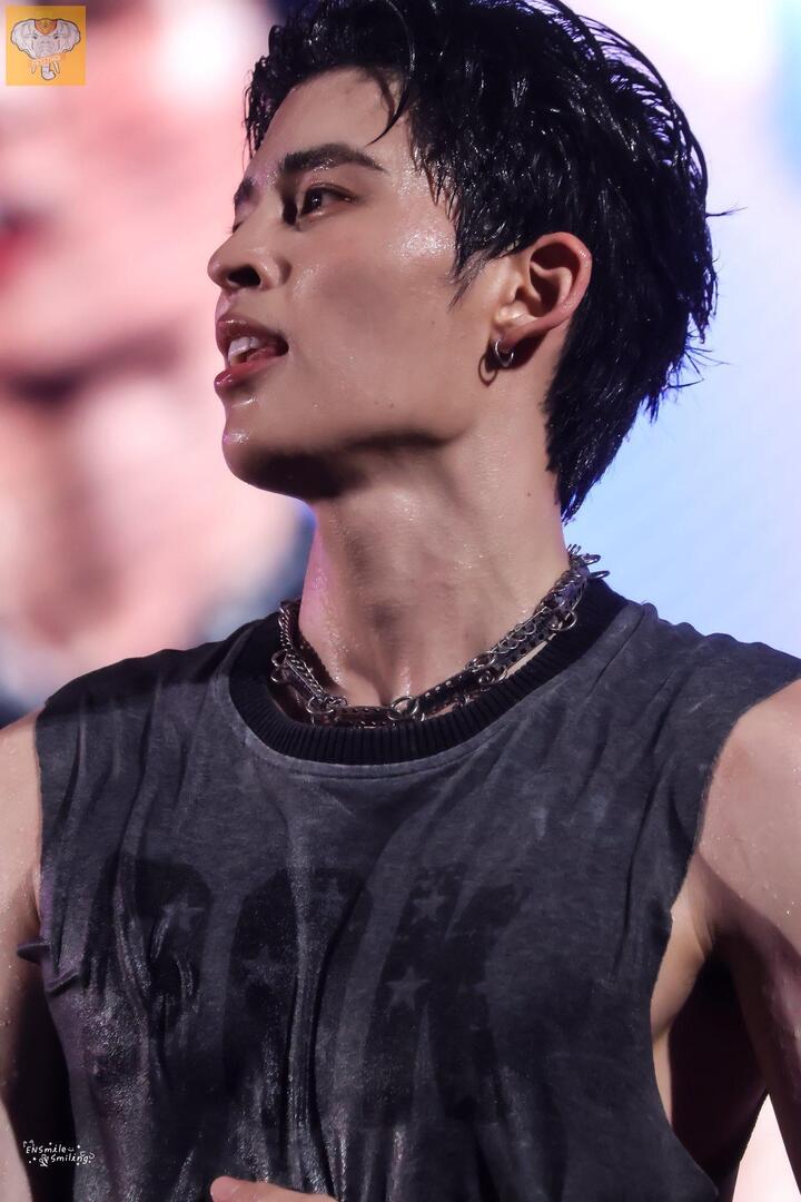 fessthai | เฟสไทย tweet media