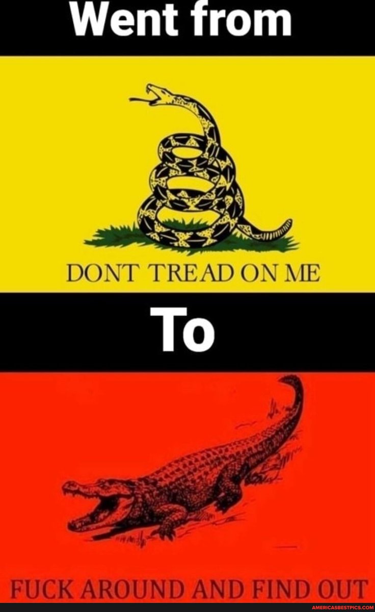 BadgerGary85494's tweet image. #went #dont #tread 
americasbestpics.com/picture/jH1BEJ…
#AmericasBestPicsAndVideos