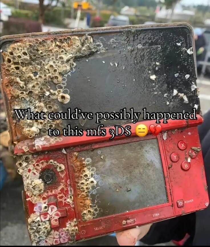 Braindead Bird App tweet media