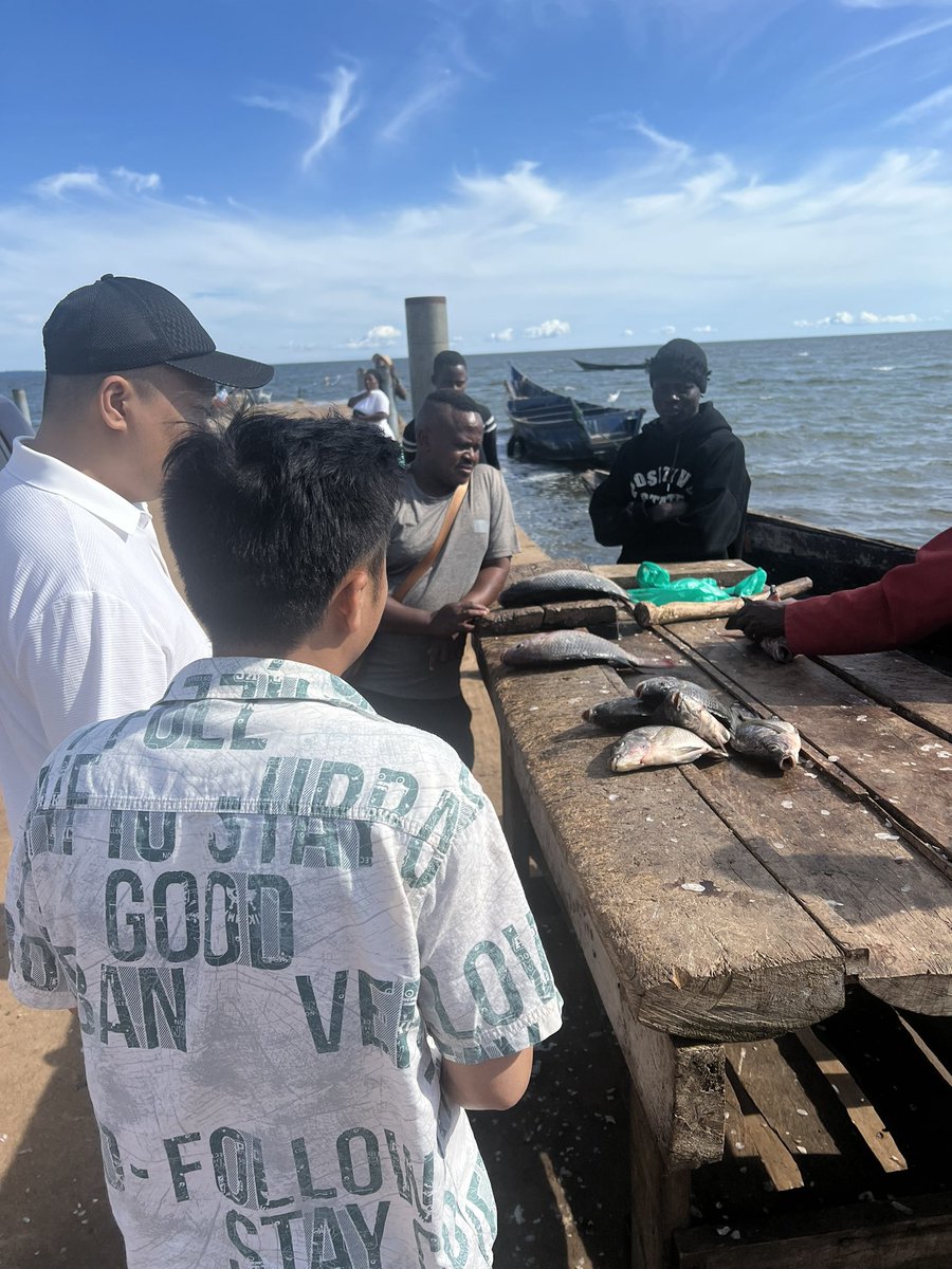 ZootopiaSafaris's tweet photo. Do you want to experience the true meaning of local culture tourism and culinary travel in Uganda? 

Book with us, let’s show you Uganda at its best. Here we went Nile perch and tilapia fish hunting, bought fresh and went to enjoy locally.

#travelUganda https://t.co/EipKFgWvv6