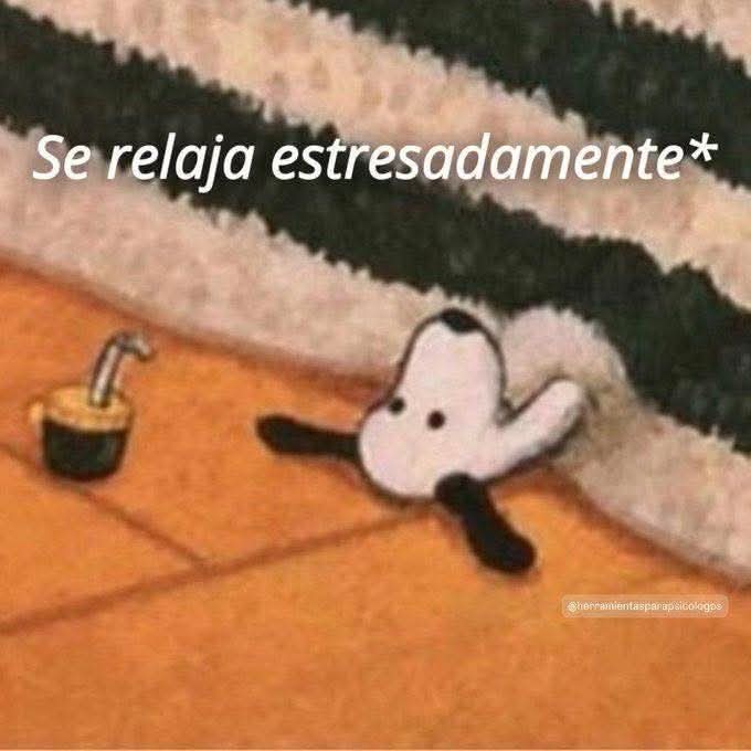 💖 Conejillo Callado💖 tweet media