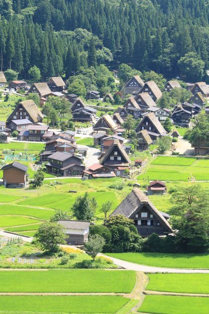 ギルボン tweet media