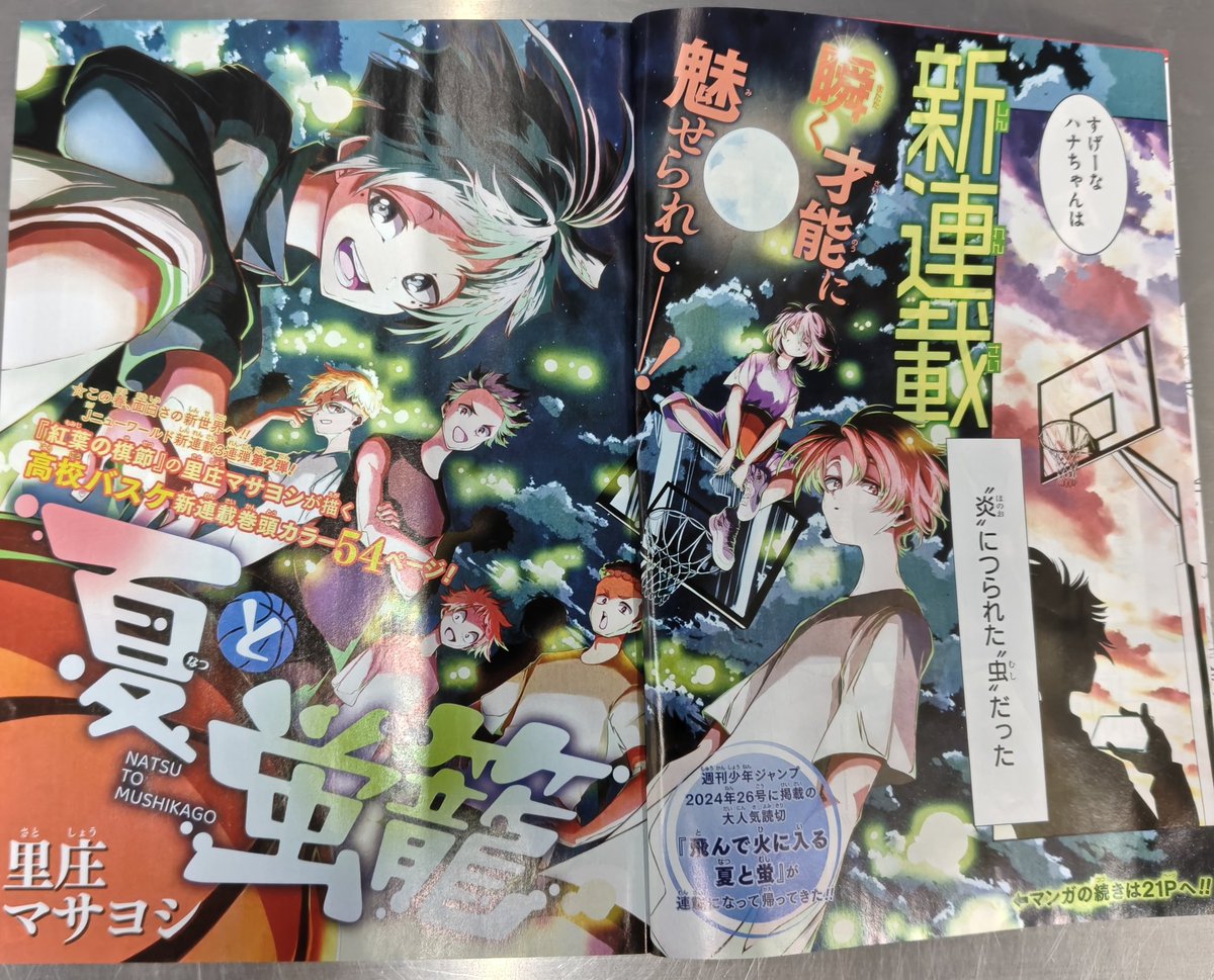 コング⋈🍊🍜 tweet media