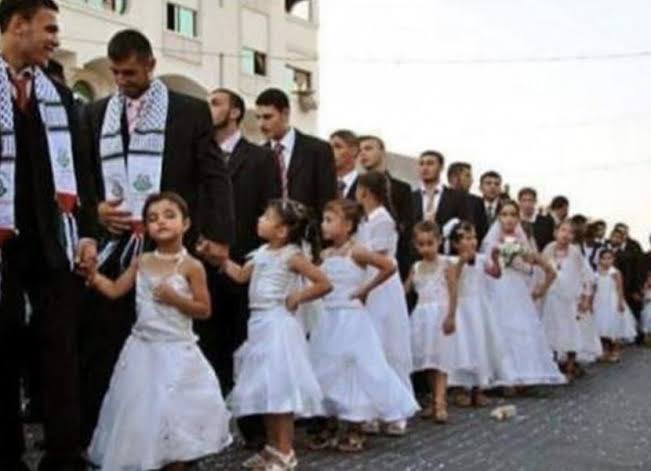 Mineiro Separatista - Ceifa Mouros tweet media