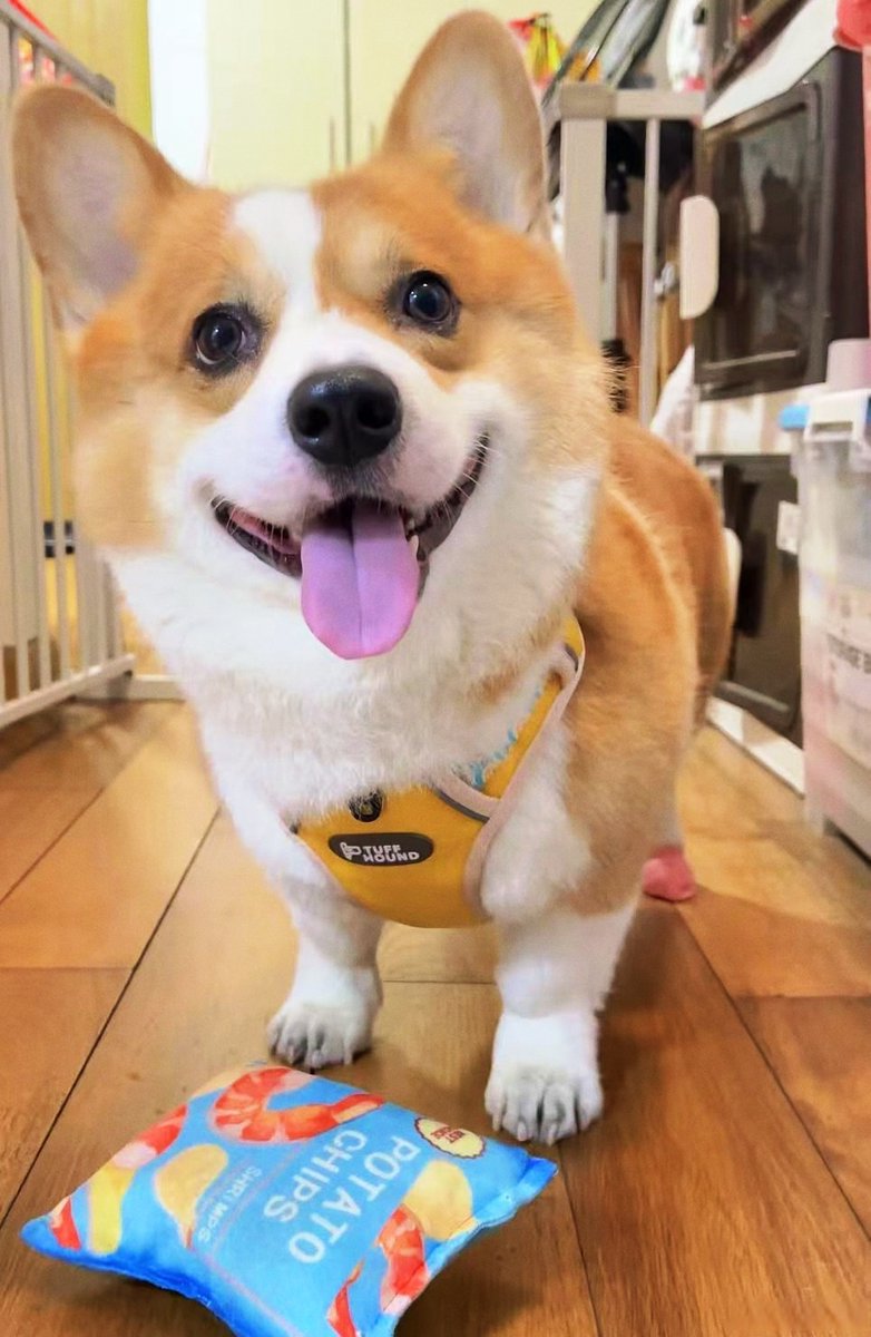 Kurumi Motoharu tweet media