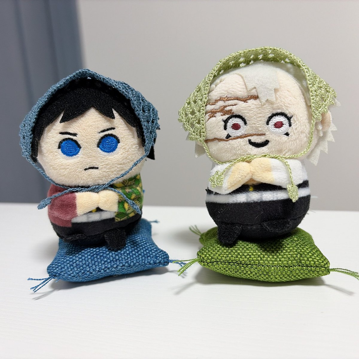 k_btokun's tweet photo. ずっとずっと欲しかったﾊﾞﾌﾞｰｼｭｶ💚💙

@samegokoro 様の作品がずっと気になっていて、今回やっと購入する事が出来た🥹❤️

とっても可愛い〜😭‼️
可愛い作品作ったくださり感謝です♡ https://t.co/OtKbGs3KXC