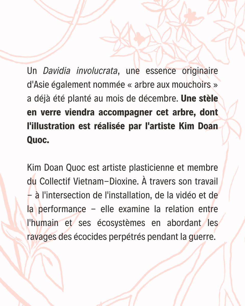 Collectif Vietnam-Dioxine tweet media