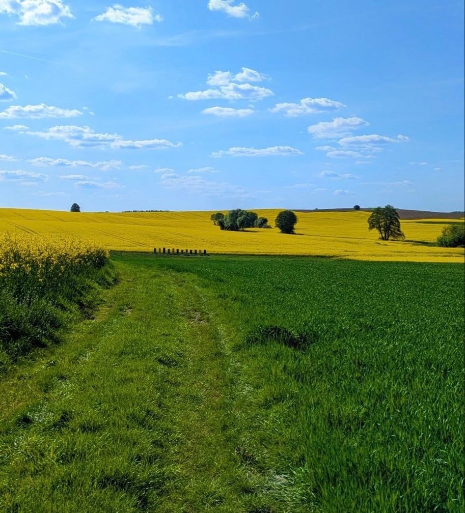 𝑝𝑢𝑟𝑒 tweet media