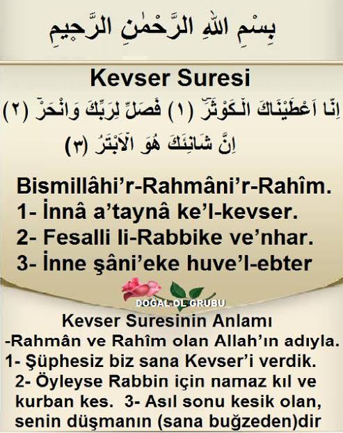 Musa Alkan tweet media