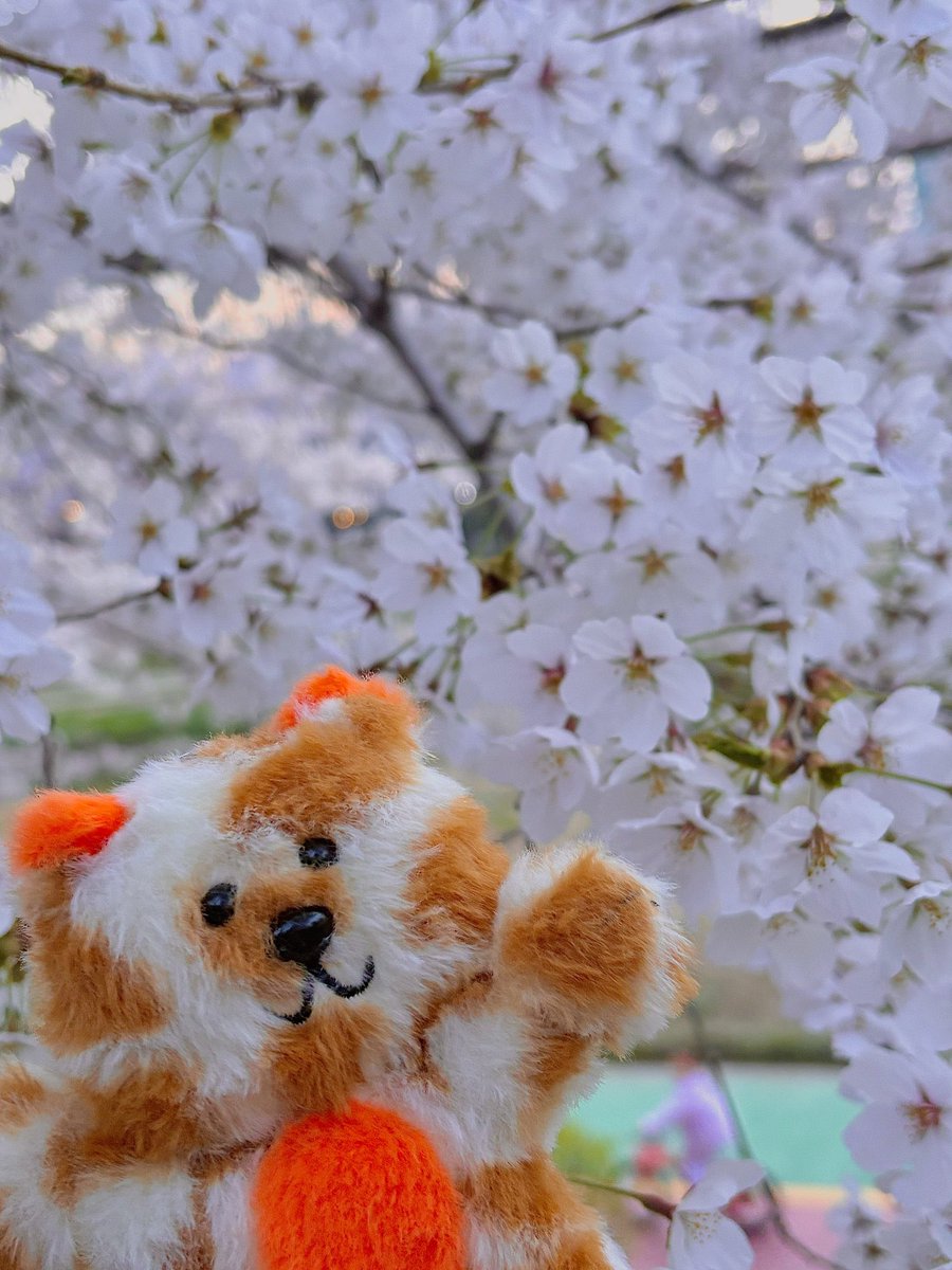 𝓞𝓷𝓸 tweet media