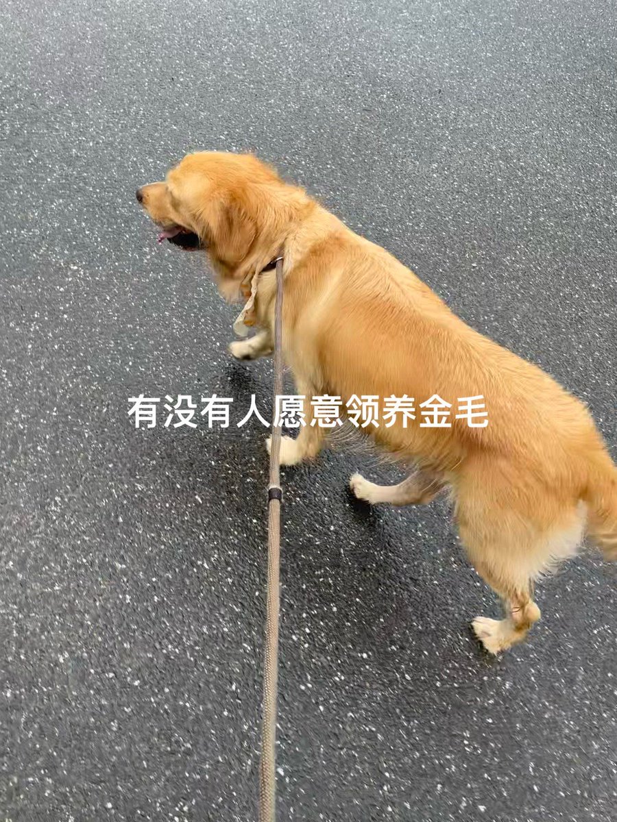 Linda Curington tweet media