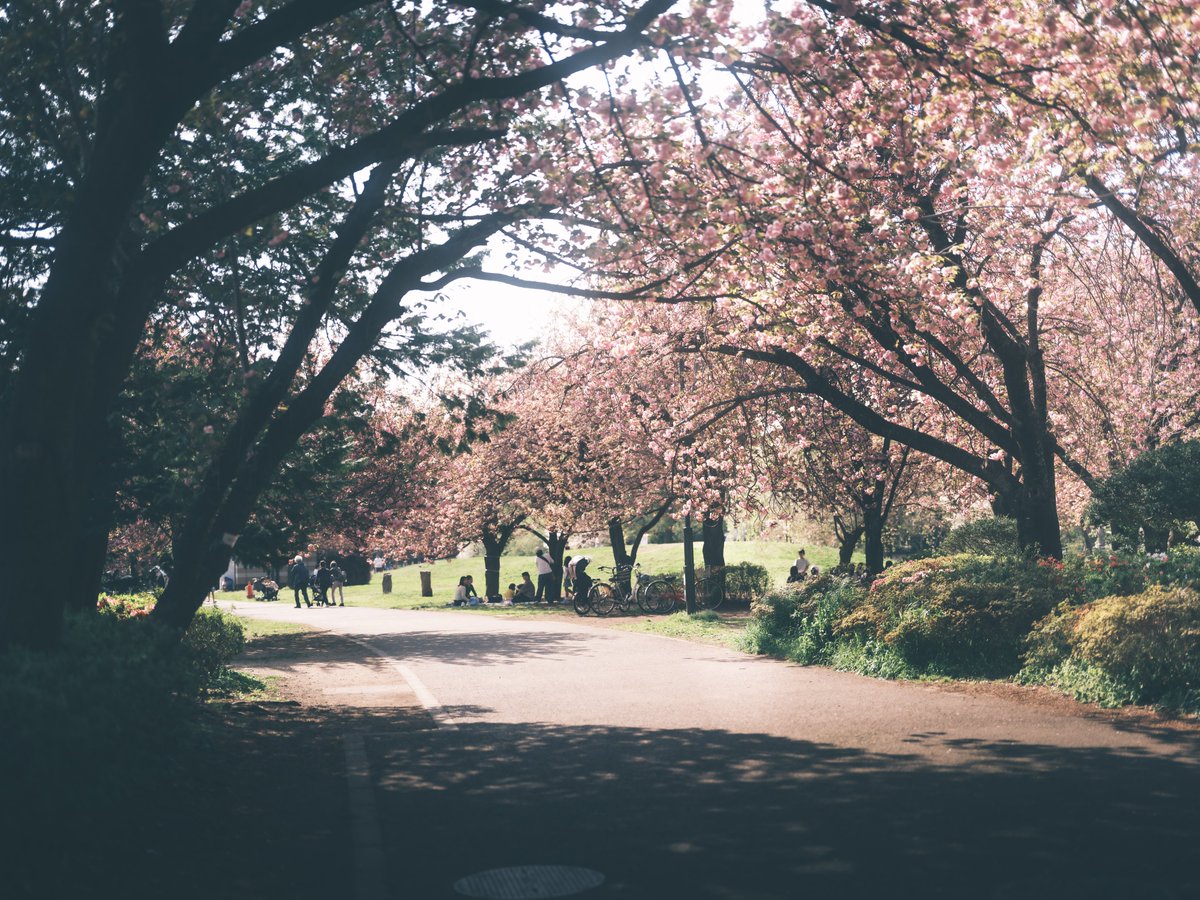 884 (呼び方はご自由に) tweet media