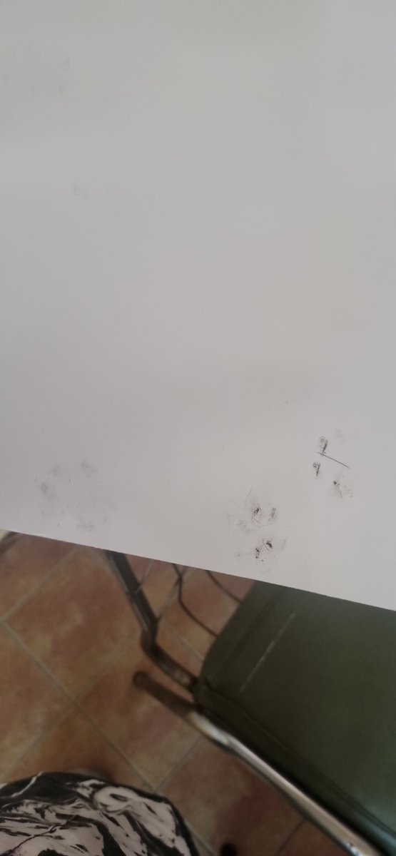 HijadelRubor tweet media