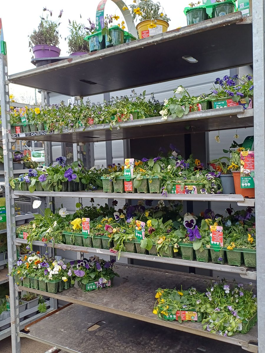 Susan Guy tweet media