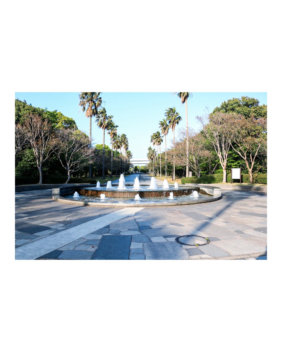 ひさとまる tweet media