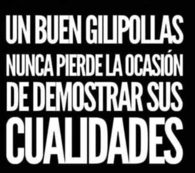 Daniatm9(2%) tweet media