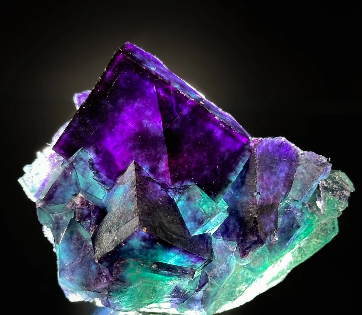 James R Us tweet media