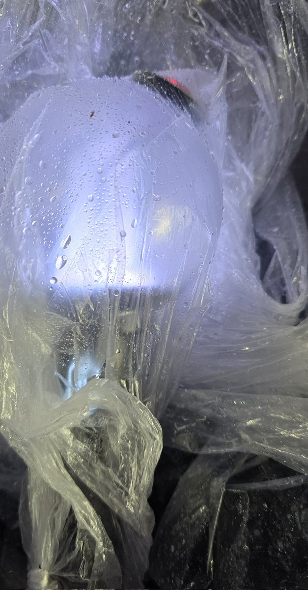 𝑹𝑰𝒁𝒁 tweet media