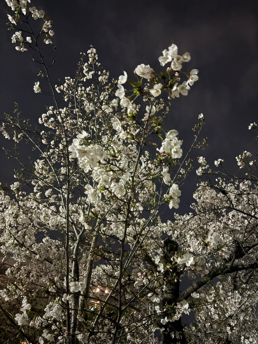 こさめ tweet media