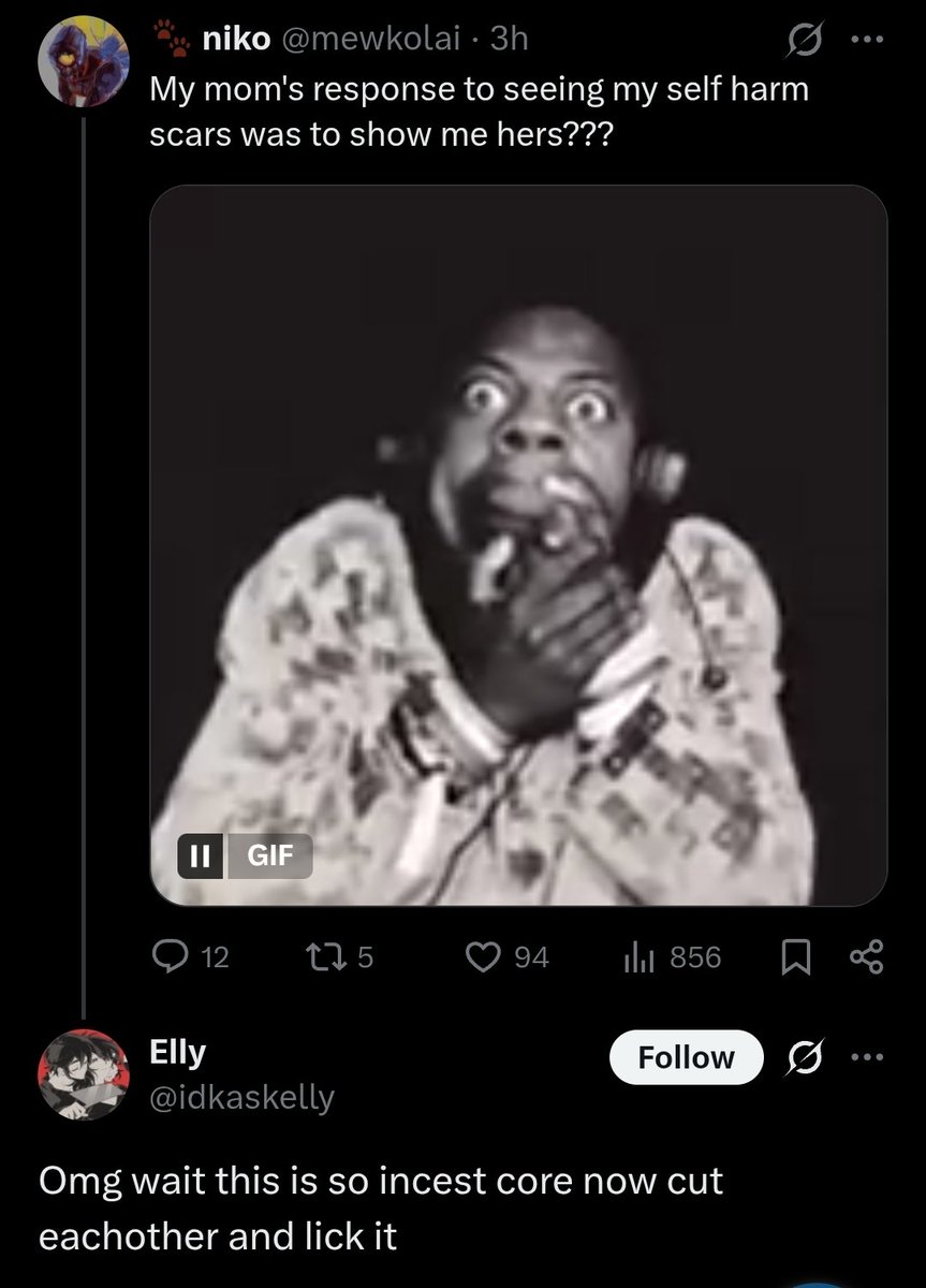 🐾 niko tweet media