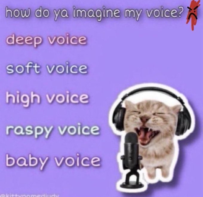 hanna Ი𐑼 tweet media