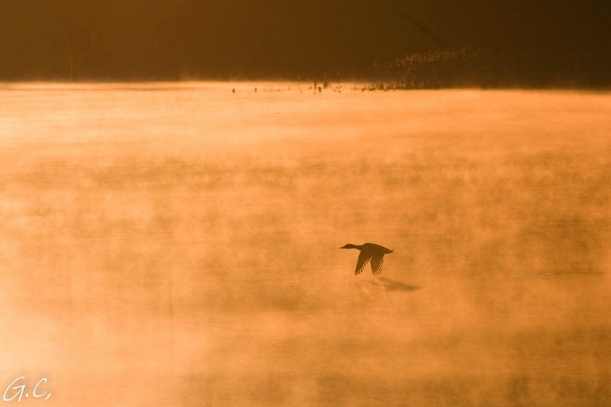 Grażyna tweet media