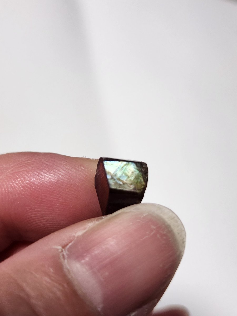 じゅんこ　浅草石フリマ5/16土のみ6階W-1,2「石部」 tweet media