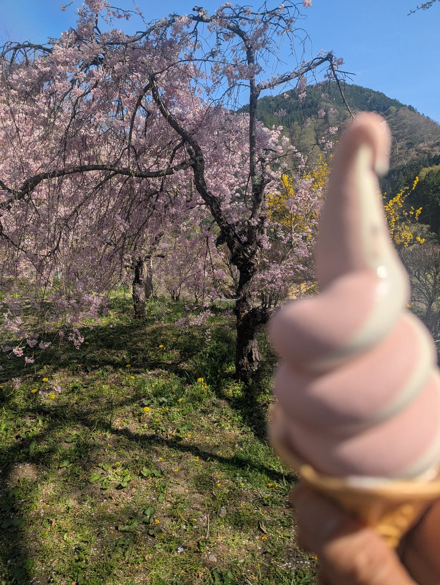 Yaxtusyi's tweet photo. 日曜日はツーリング日和でした。
交通安全週間でなければもっと良かった😅 https://t.co/P4qmb9iIR6