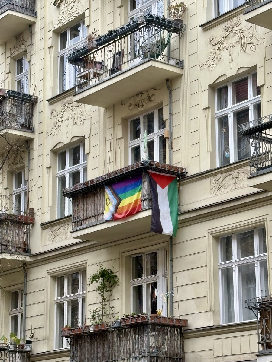 Mehmed König tweet media