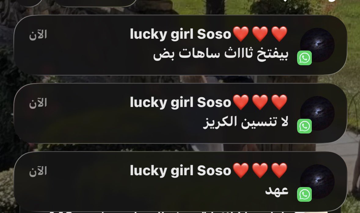 👸🏻 tweet media