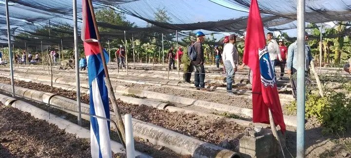 Odalis Batista tweet media