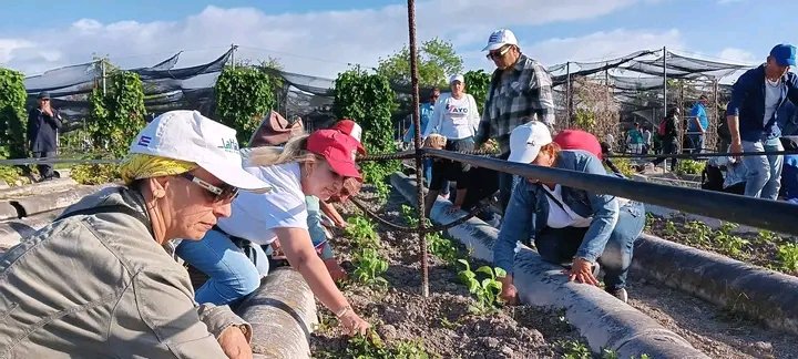 Odalis Batista tweet media