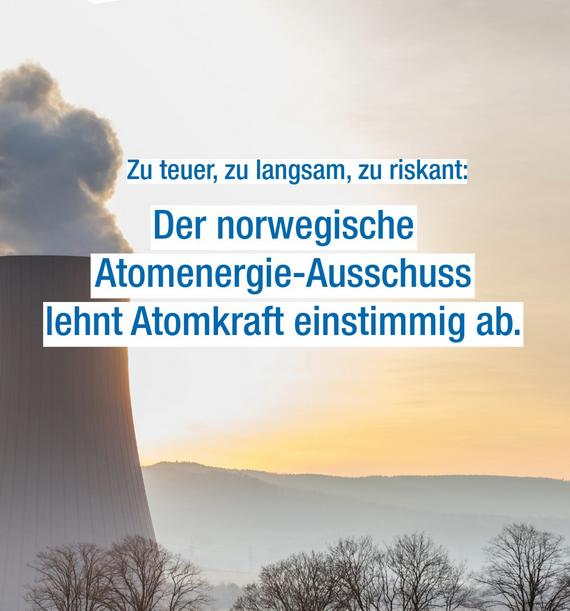 T. Bee.🇪🇺 ❤️💚 🌻 tweet media