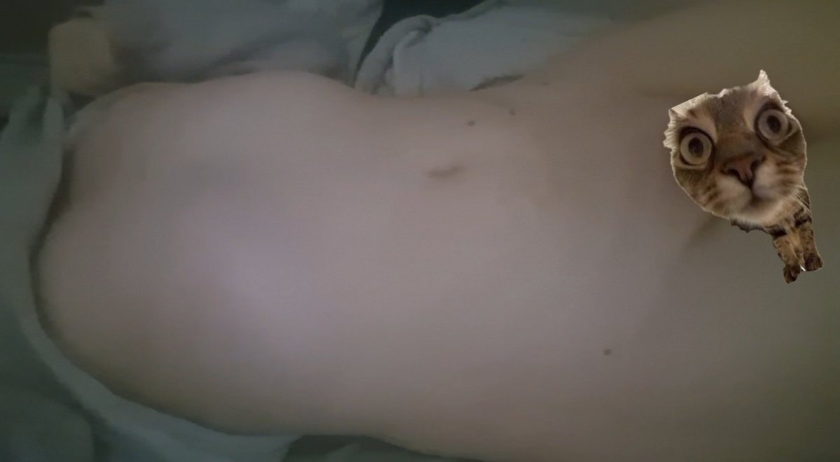 EepyHaggy tweet media