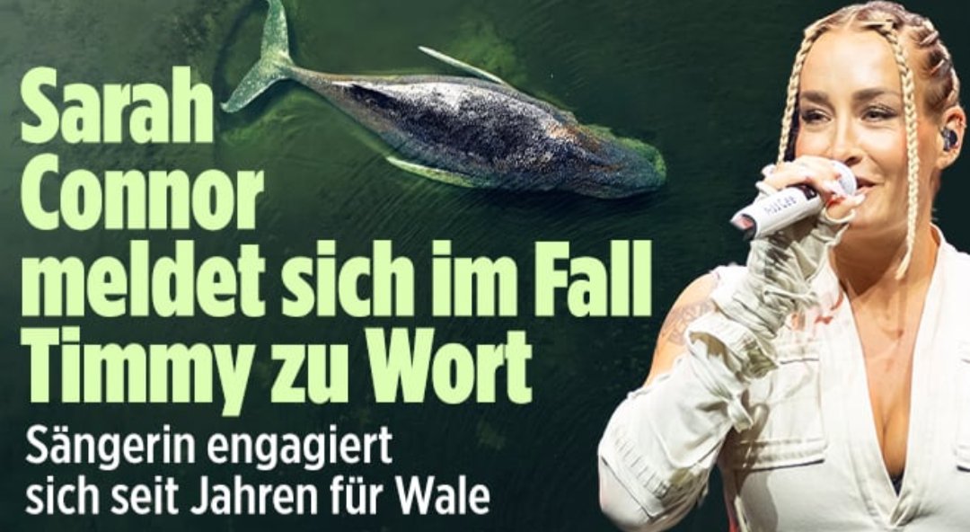 Waschbaer77 tweet media