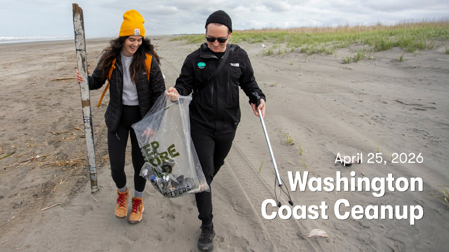 Washington Coast Cleanup Scours Inner and Outer Coast, April 25 ---- Volunteers needed along the coast and Salish Sea beachconnection.net/news/washingto…