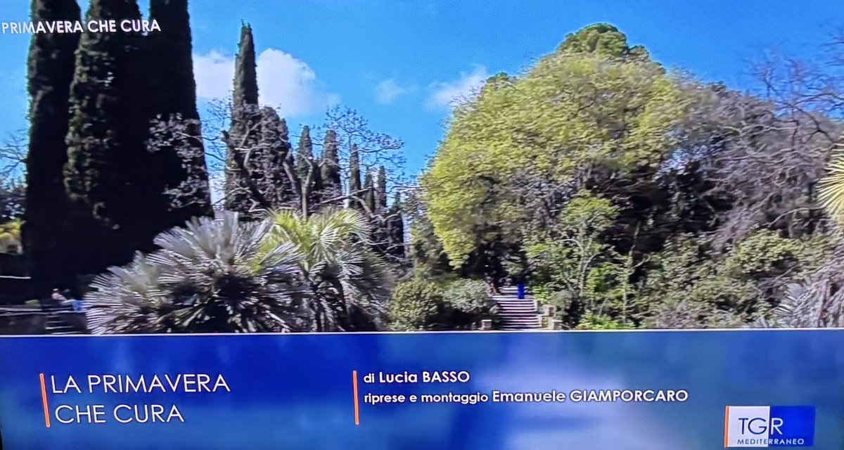 IT_AtoutFrance's tweet photo. La città di Montpellier con il Jardin des Plantes su RAI 3 , il giardino più antico di Francia 🇫🇷 , lo potete rivedere su https://t.co/VP6nPYTNtl #ExploreFrance @RaiTre @RaiPlay @montpellier_ @TgrMediterraneo @luciabasso2 https://t.co/ZjHUy6TVQO