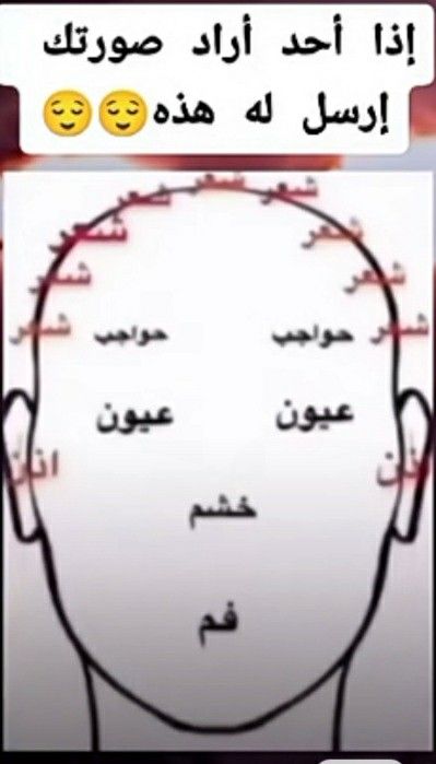 عبدالعزيز الثقفي tweet media