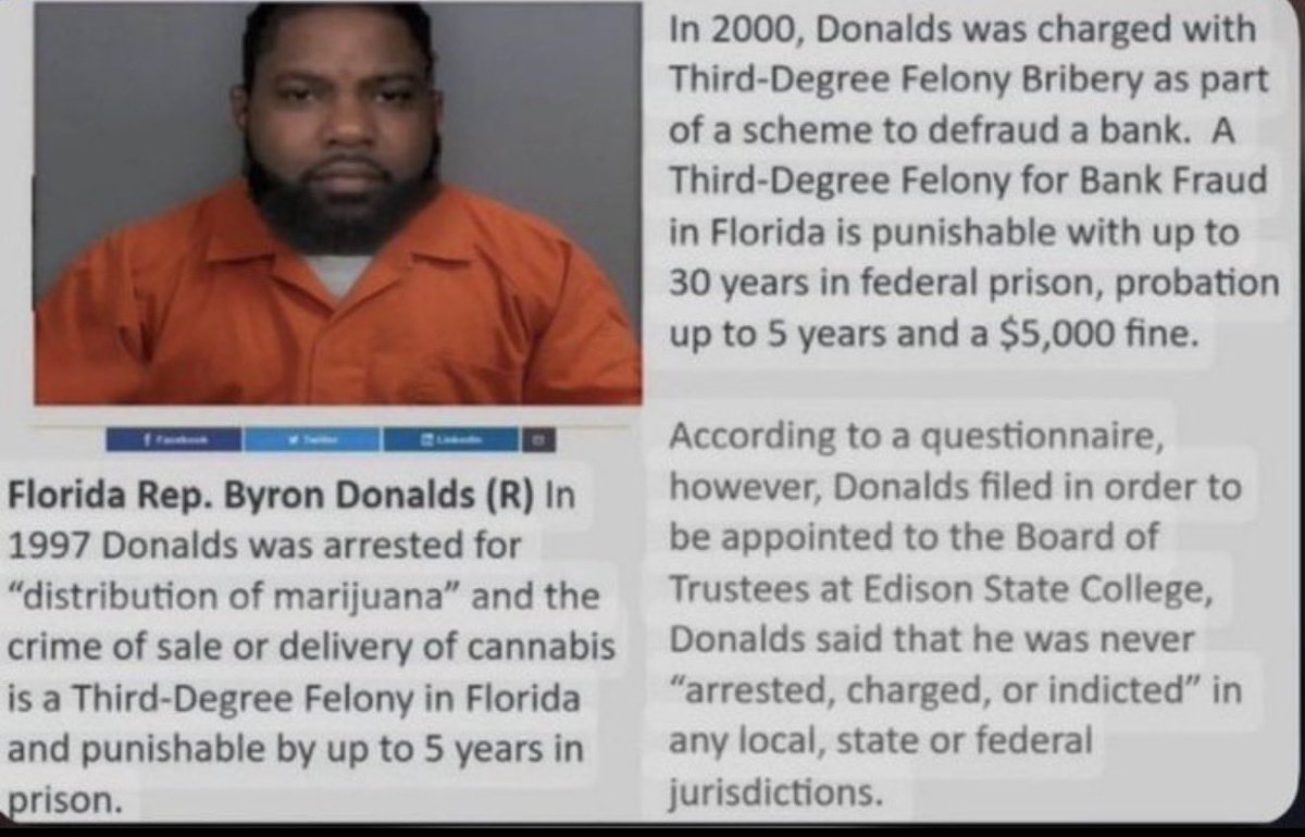 Pat0715🇺🇸 🌴🐊 tweet media