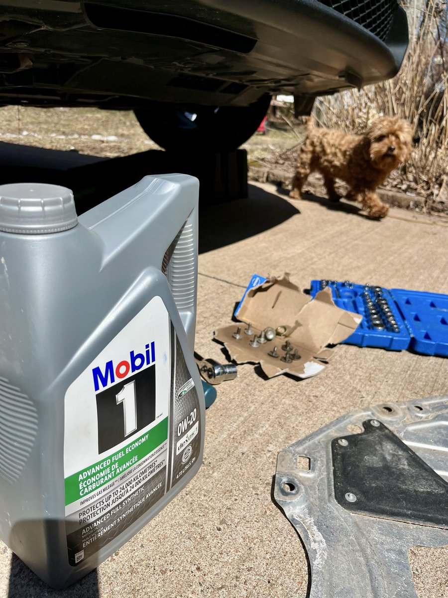 Car maintenance time… pay myself and ensure it’s done right 🍻