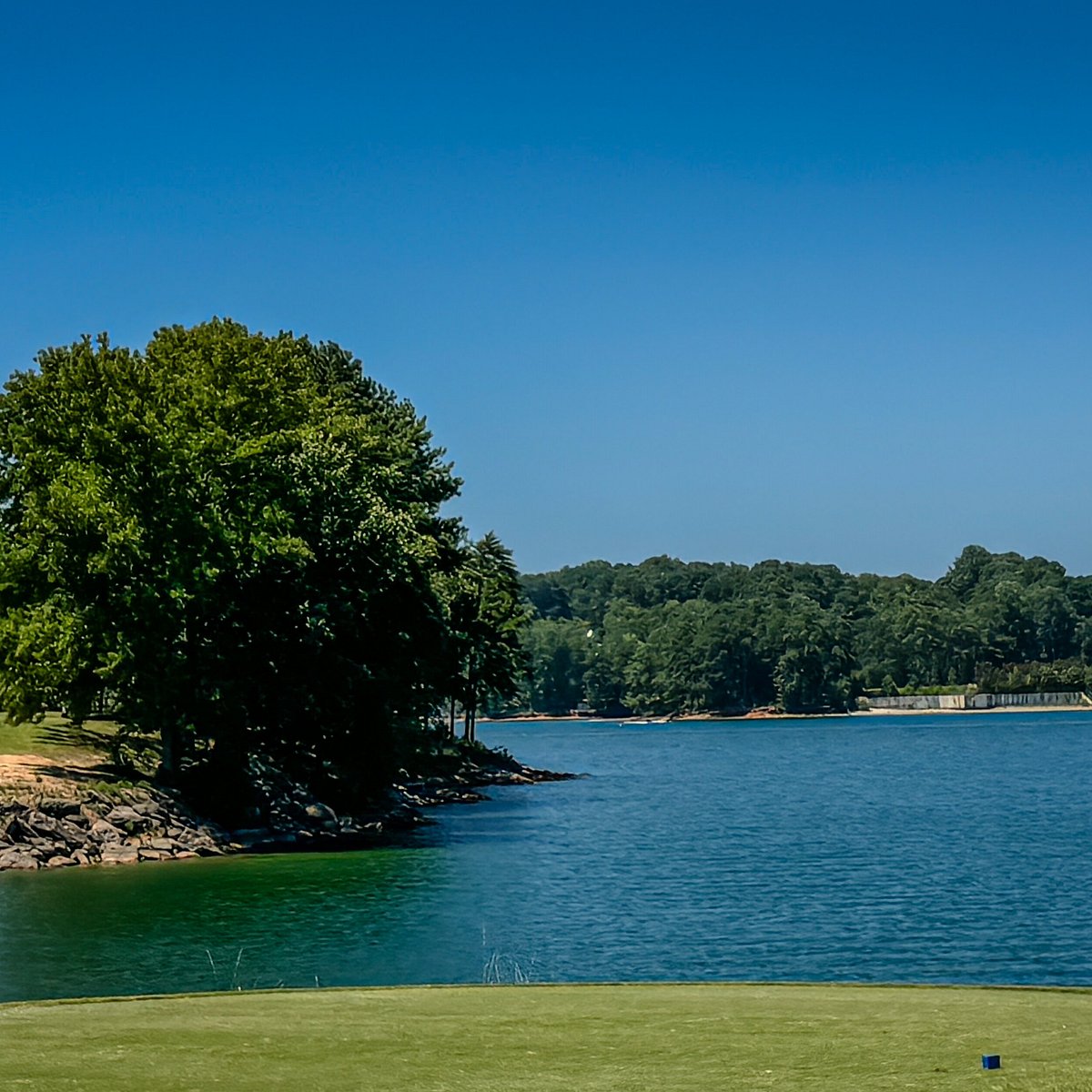 Everything Georgia tweet media