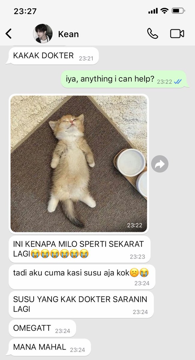 adiesza's tweet image. prompt

keonhoon au

— Jju menjadi dokter hewan yang hidupnya udah lumayan lurus, hingga datang seorang bocah yang merecoki atau mungkin tidak?