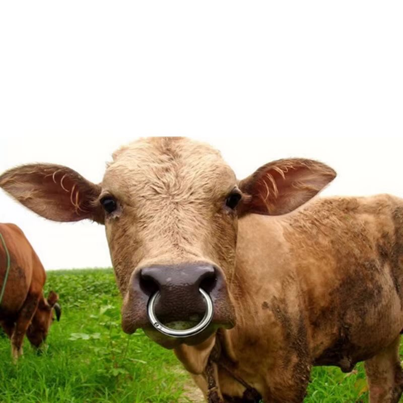 walter white tweet media